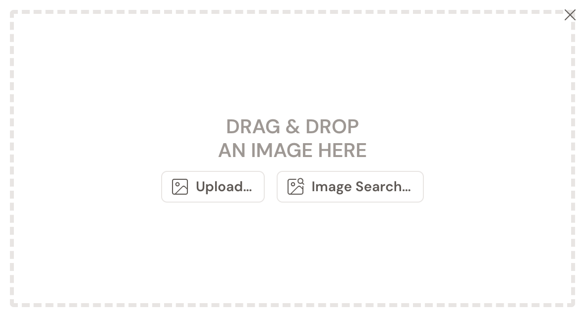 The Insert Image window: a large dashed drop zone reading Drag & Drop An Image Here, with an Upload… button and an Image Search… button below it.
