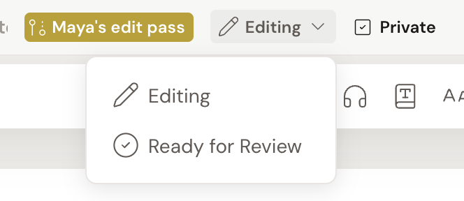 The review copy's status control open in the top bar, showing the Editing and Ready for Review options, next to the Private toggle.