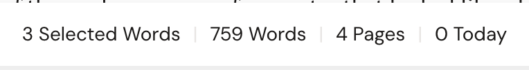 The editor status bar with text selected, showing Selected Words alongside the Words, Pages, and Today counts.