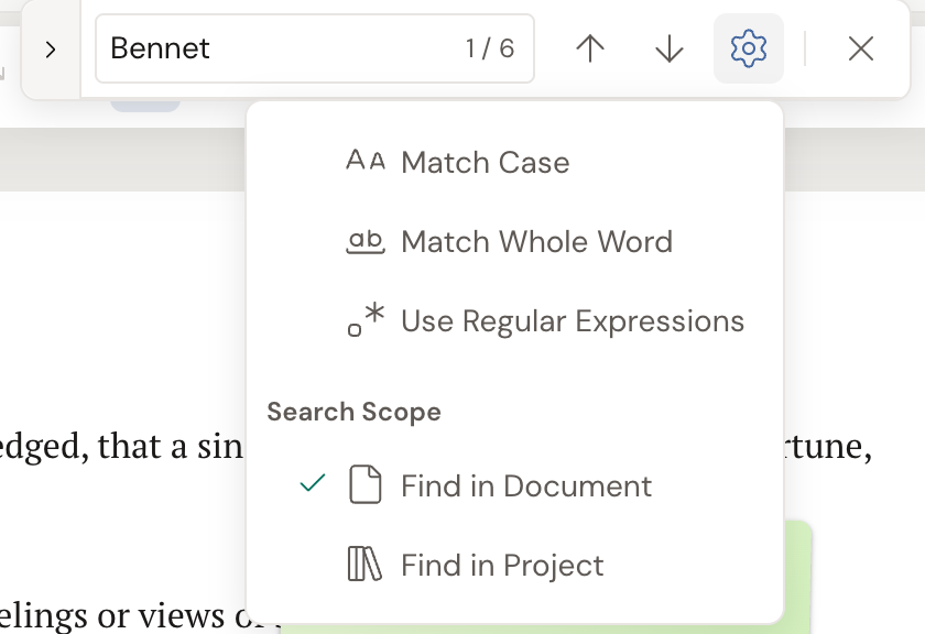 The Find panel's gear menu expanded, showing Match Case, Match Whole Word, and Use Regular Expressions toggles, plus a Search Scope section with Find in Document and Find in Project.